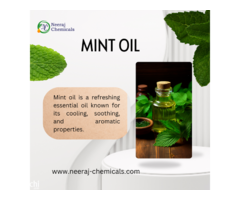 Mint Oil Suppliers in India