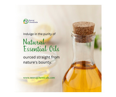 Natural Essential Oils Wholesalers in India