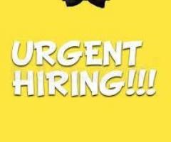 ​ Tourism Company Hiring Candidates for Tourism Promoter