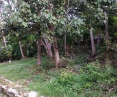 200 ft² – 5 cent land for sale at Nalanchira, Banadict nagar.