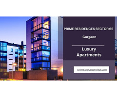Prime Residences Sector 65 Gurugram - Love Where You Live - Image 3