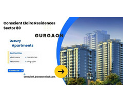 Elaira Residences Sector 80 Gurgaon - Luxe Living Life - Image 2
