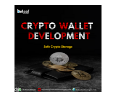 Leading the Way in Blockchain Ecosystem with Secure Crypto Wallets