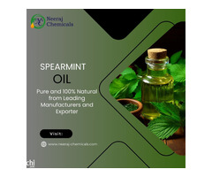 Spearmint Oil Suppliers in India