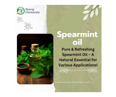 Spearmint Oil Suppliers & Wholesalers in Sambhal