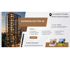 Experion Sector 48 Gurgaon: Investment Potential - Image 2