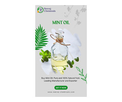 Mint Oil Suppliers in India