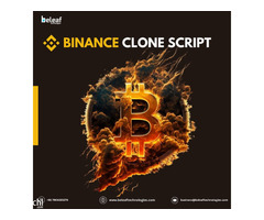 How to find the best affordable Binance clone script for your crypto exchange business?