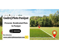Godrej Plots Panipat - A Vision for Future Living - Image 3