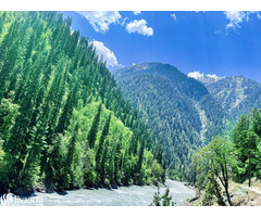 Tricon Holidays – Best Tour Operators in Kashmir for Unforgettable Trips! - Image 2