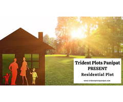 Trident Plots Panipat: Invest in Your Future - Image 2