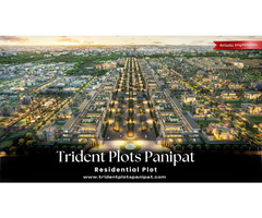 Trident Plots Panipat: Invest in Your Future - Image 3