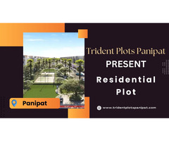 Trident Plots Panipat: Invest in Your Future - Image 4