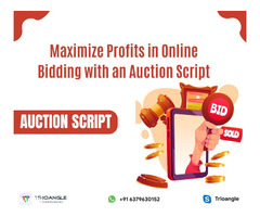 Maximize Profits in Online Bidding with an Auction Script