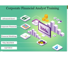 Who Should Enroll in a Financial Modeling with SAP FICO Course? Get Investment Analyst Course in Del