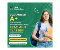 Hire Exam Ace - Image 3