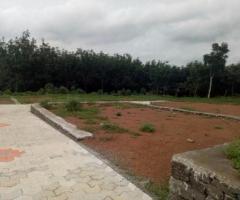 10 ft² – 4,5,6,10 cents of land in thalakkodu for sale