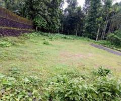 7 ft² – 7 cent of land in chottanikkara for sale