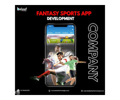 Accelerate Your Business Growth with Fantasy Sports App Development