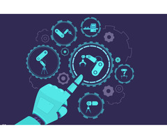 Regulatory Services in Brazil
