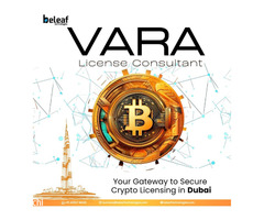 Leading VARA License Consultant in India - Beleaf Technologies