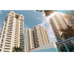 Apex Alphabet at Noida Extension Project Highlights - Image 2