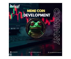 Want to Create Your Own Meme Coin? Beleaf Technologies Makes It Happen