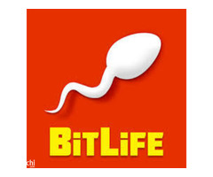 Exploring the Engaging World of Store Management in Bitlife