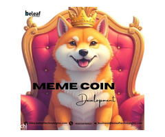 Top Meme Coin Development Company Trends in 2025 - Beleaf Technologies