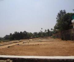 Residential plots in Thiruvankulam, Thripunithura
