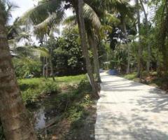 Residential land in Udayamperoor, Thripunithura