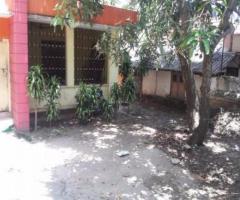 4 BR, 250 ft² – 13 cent 2500 sqft house for sale at Palkulangara.