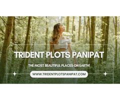 Trident Panipat - Crystal Lifestyle, Clear Opportunity