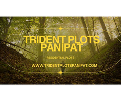Trident Panipat - Crystal Lifestyle, Clear Opportunity - Image 4