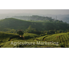 Smart Agri-Marketing 2025: Boost ROI & Profit Growth