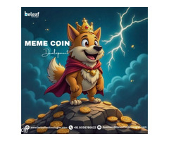 Custom Meme coin development - Beleaf Technologies