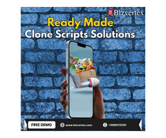 Affordable, Reliable, and Robust: Ready-Made Clone Scripts for You