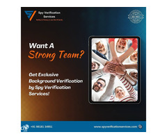 Trusted Background Verification & Screening Company | BGV Verification Services - Image 5
