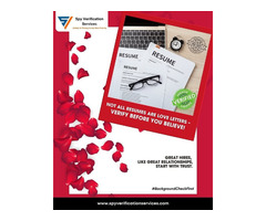 Trusted Background Verification & Screening Company | BGV Verification Services - Image 8