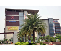 Real Estate Consultant In Gurgaon