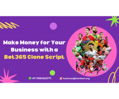Make Money for Your Business with a Bet365 Clone Script