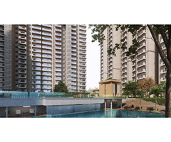Express Astra Project Info - Image 4