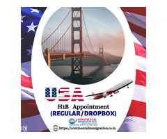H1B Visa Consultant - Continental Immigration