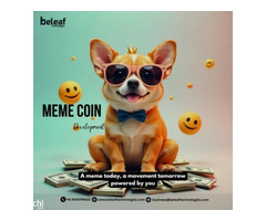 Best Platforms to Launch Your Meme Coin in 2025 - Beleaf Technologies 