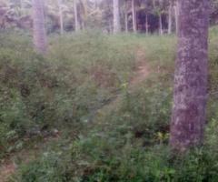 4355 ft² – 10 cent Residential land / plot in vetturoad, Kazhakuttom