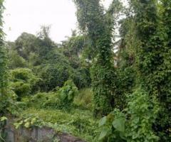 30 ft² – 30 cent of land in Maradu ,Ernakulam for sale