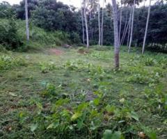 Residential Plot for Sale in Pallikkara - Land for Sale Kakkanad