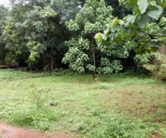 Plot for sale in Kattakada,Trivandrum