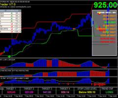Become a professional successful trader with Wintrader Software