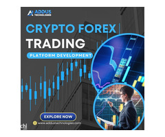 Next-Gen Crypto Forex Trading Platform Development